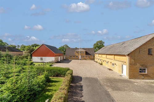 estate