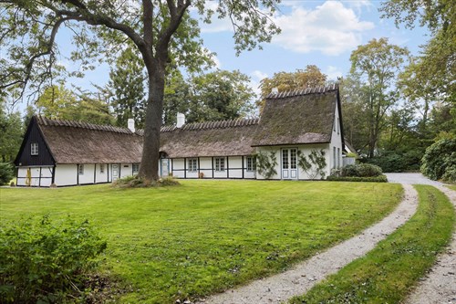 estate