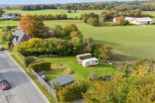 estate