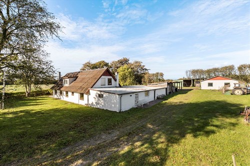estate