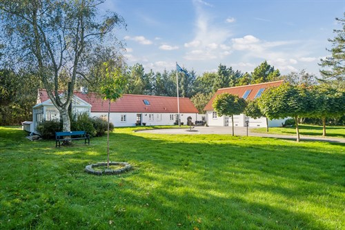 estate