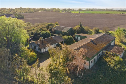 estate