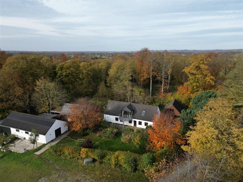 estate