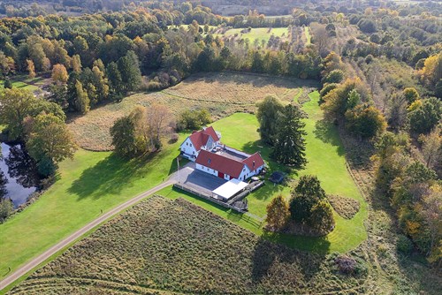 estate