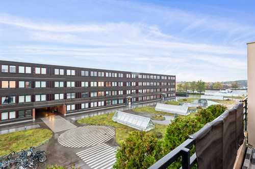 estate