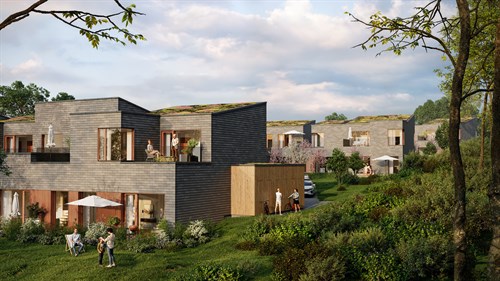 estate