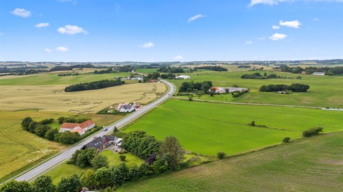 estate