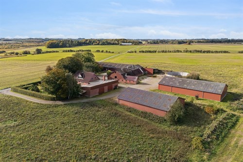 estate