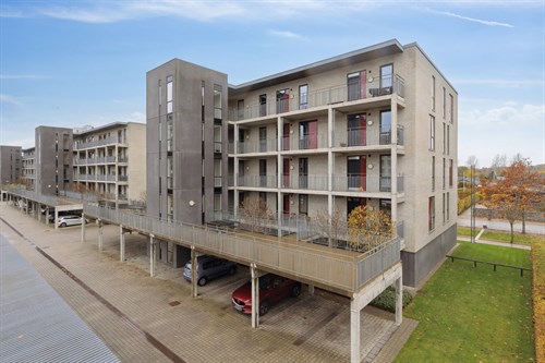 estate