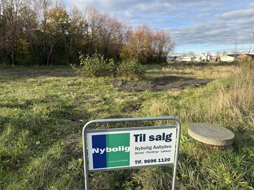 estate