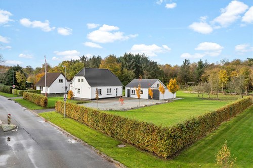 estate