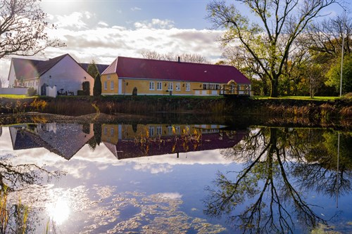 estate
