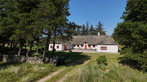 estate