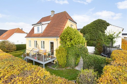 estate