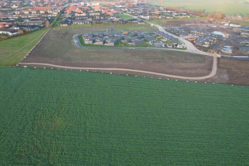 estate