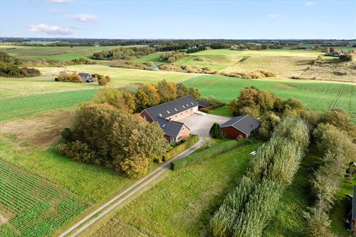 estate