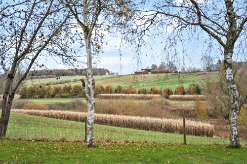 estate