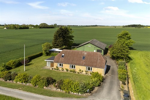 estate
