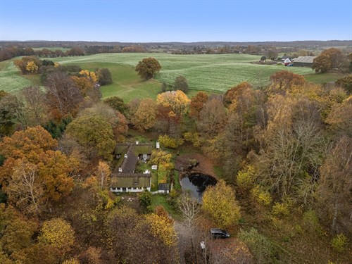 estate