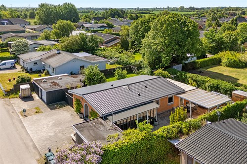 estate