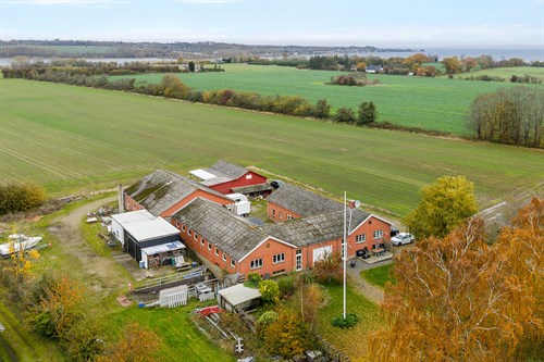 estate
