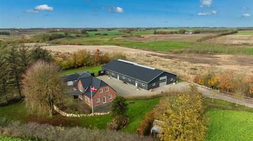 estate