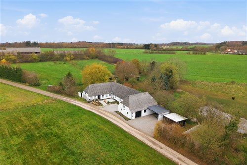 estate