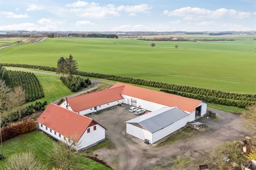 estate