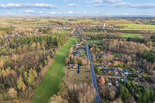estate