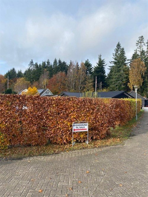 estate