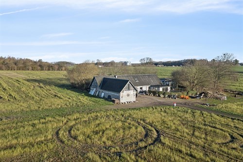 estate