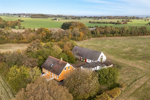 estate