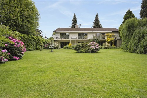 estate