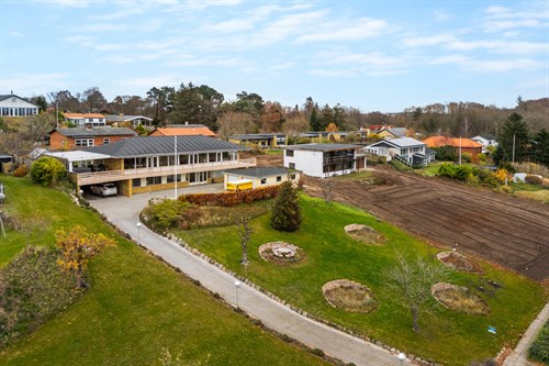 estate