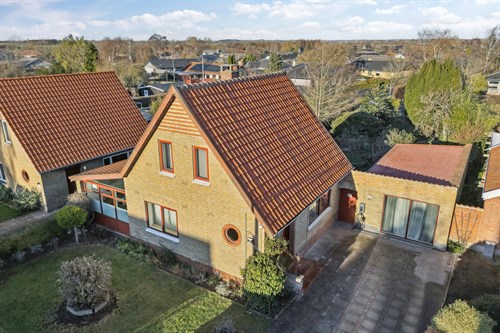 estate