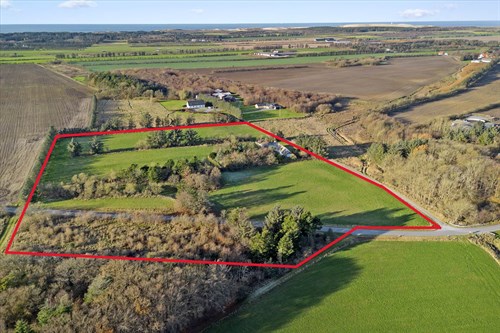 estate