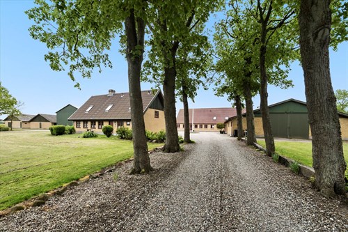 estate