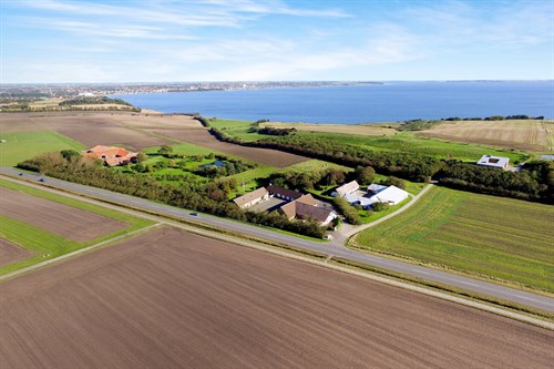 estate