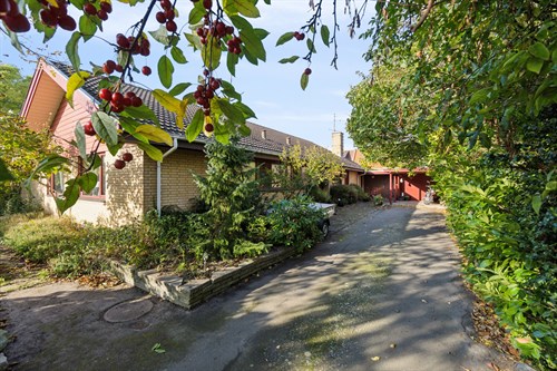 estate