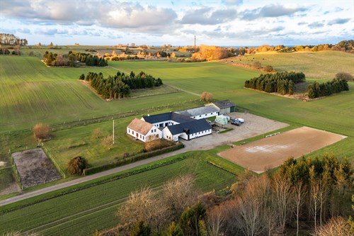 estate