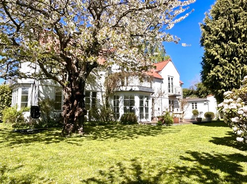estate
