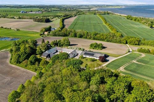 estate