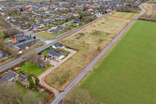 estate