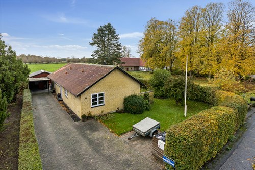 estate