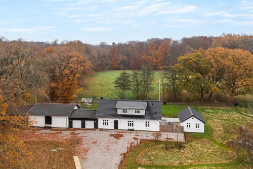 estate