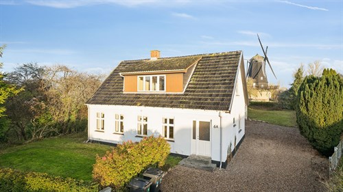 estate