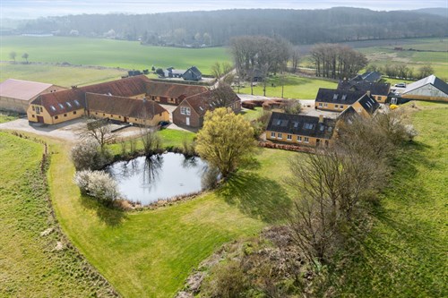 estate