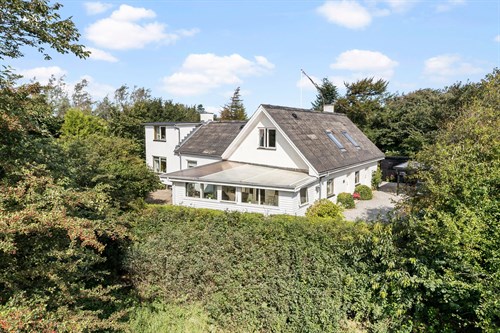 estate