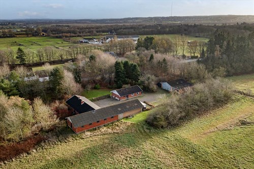 estate
