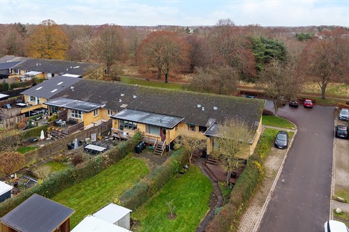 estate